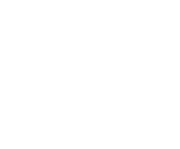 White Adams Morey logo
