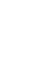 White Southampton Football Club logo