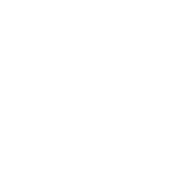 White isg logo